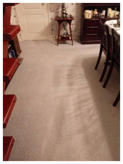 Gallery | A1 Carpet Cleaning