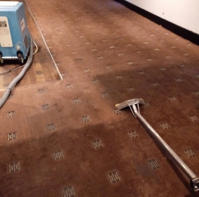 A1 Carpet Cleaning